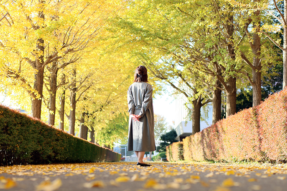 Aikoku　Gakuen　University Campus image