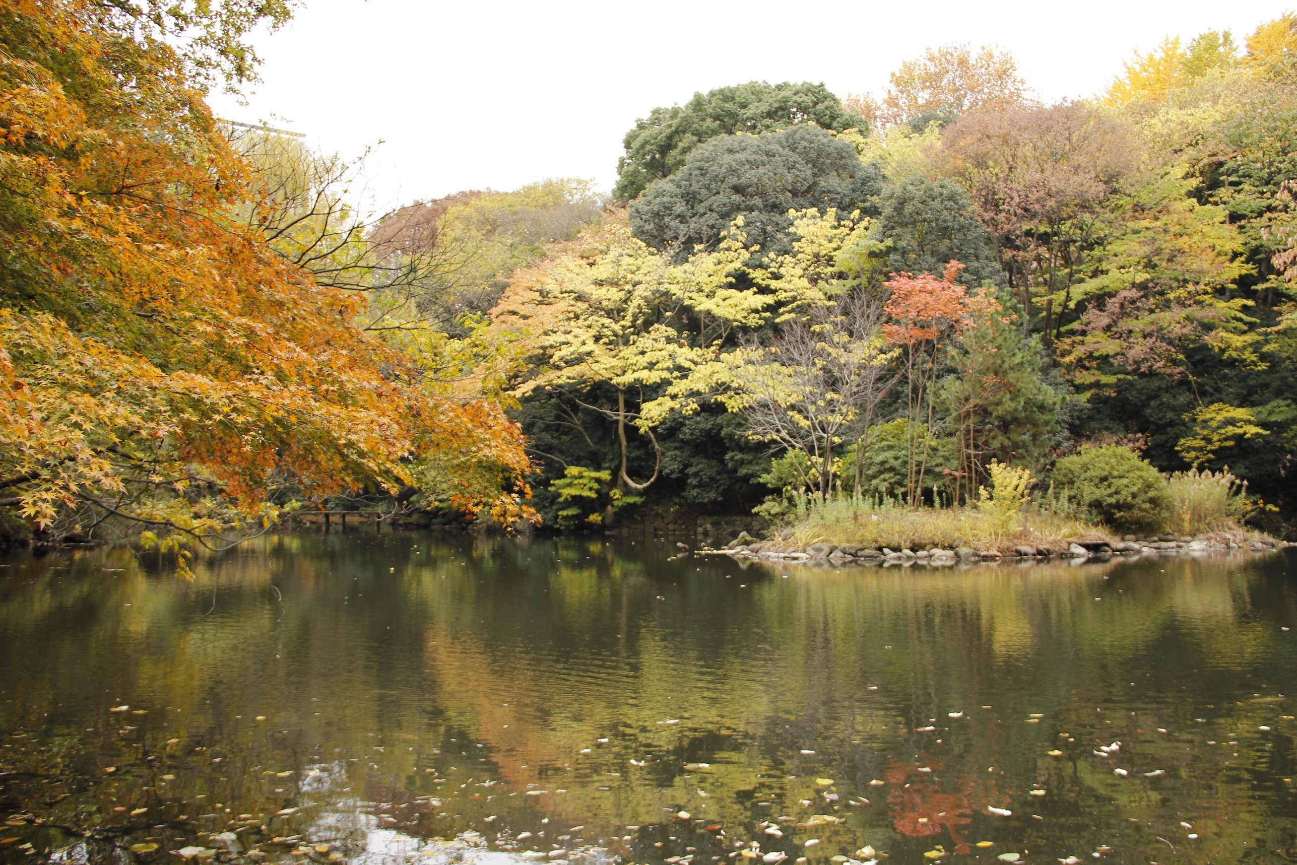 The University of Tokyo Campus image