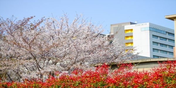 Nagoya Institute of Technology Campus image