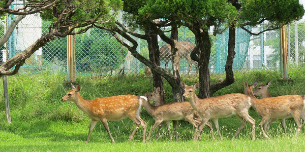 Nara University of Education Campus image