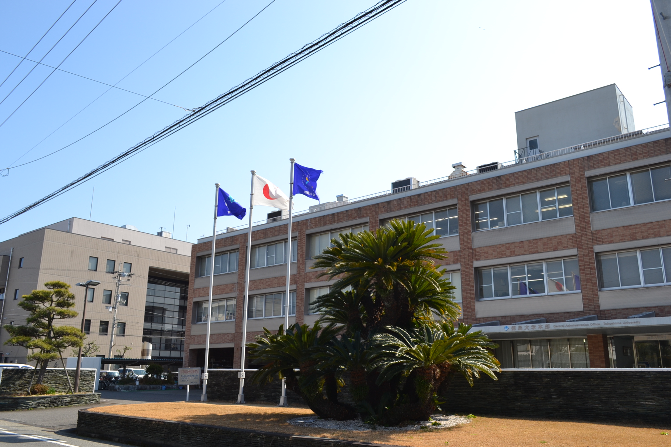 Tokushima University Campus image