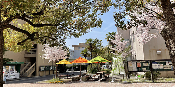 KAGAWA University Campus image