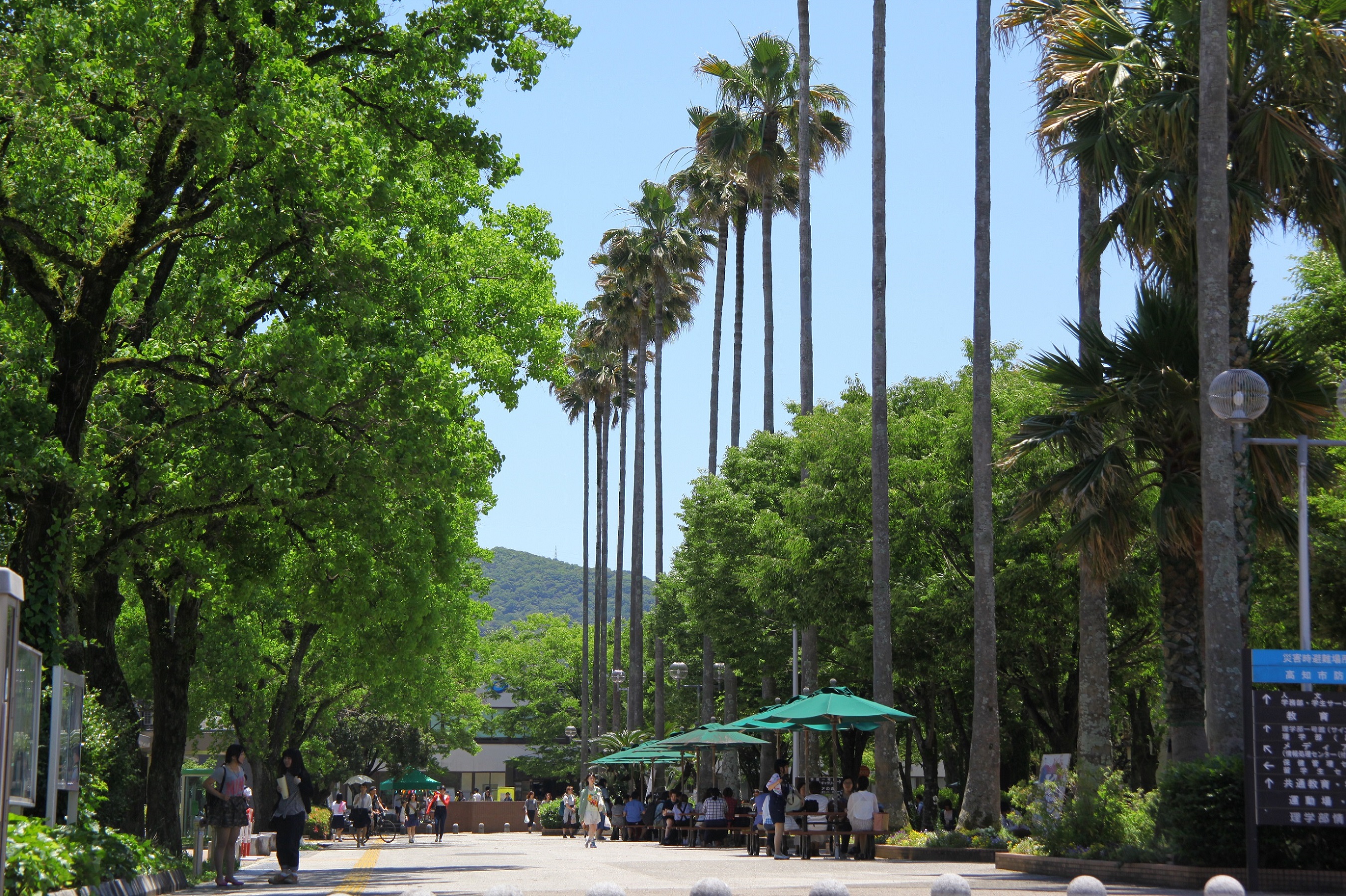 Kochi University Campus image