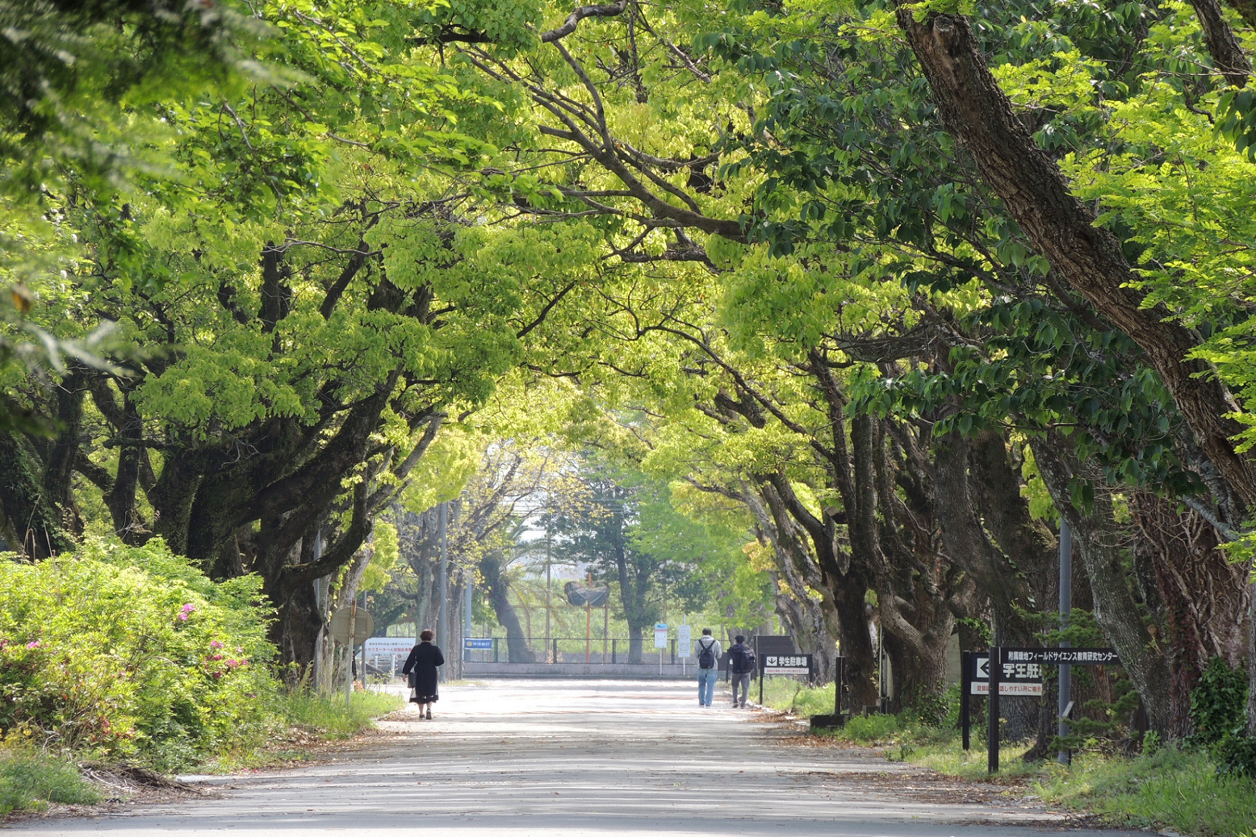 Kochi University Campus image