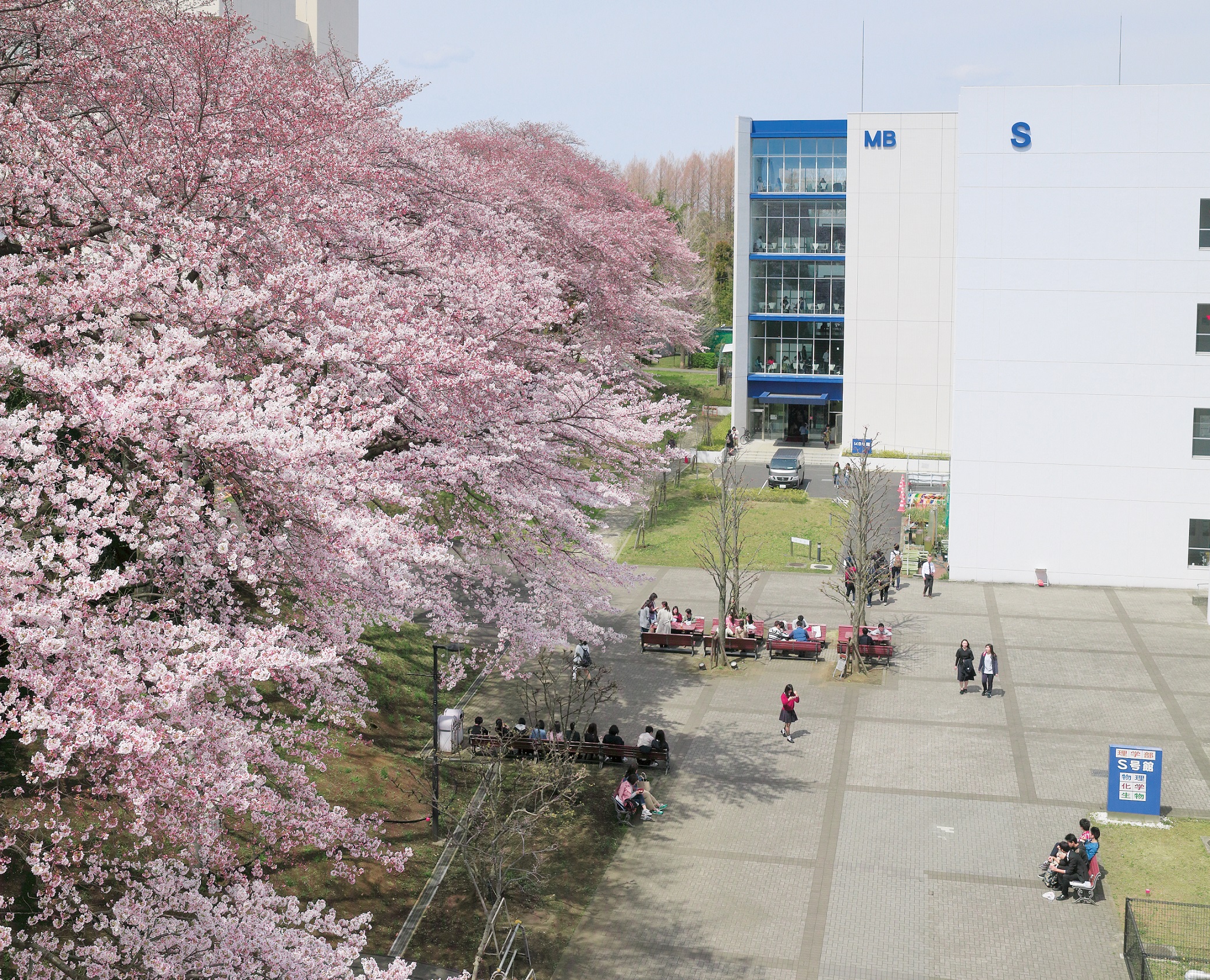 Kitasato University  Campus image