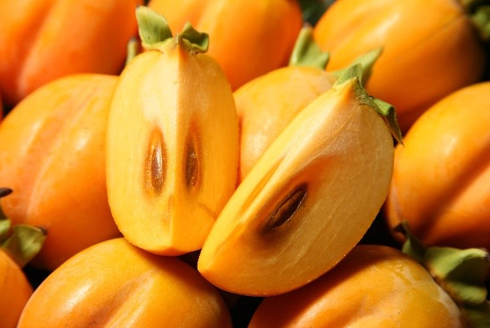 Saijo persimmon