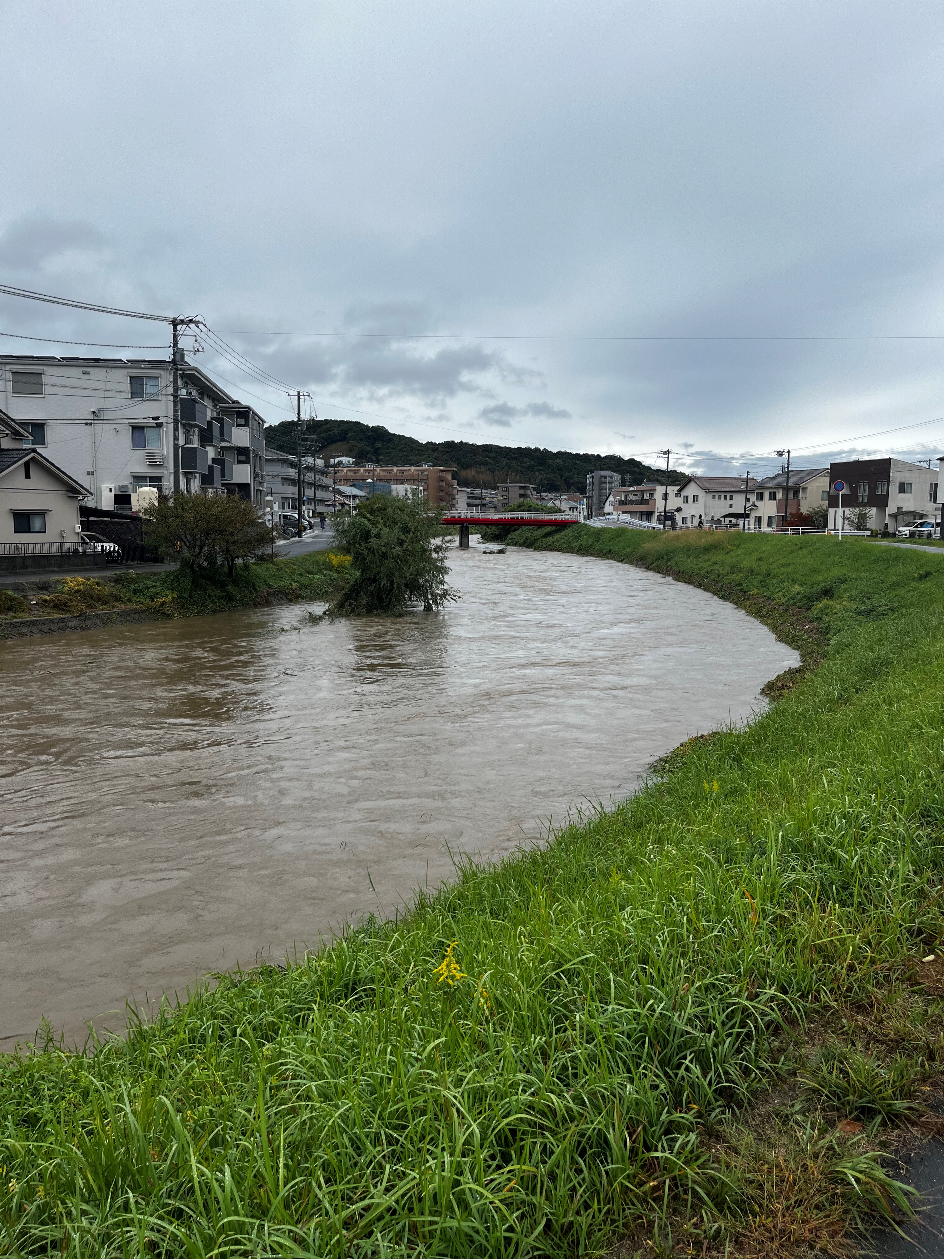 Río desbordado